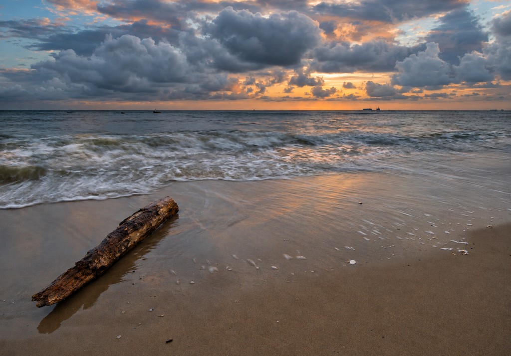 Korzeń na plaży i falochron o złotej godzinie