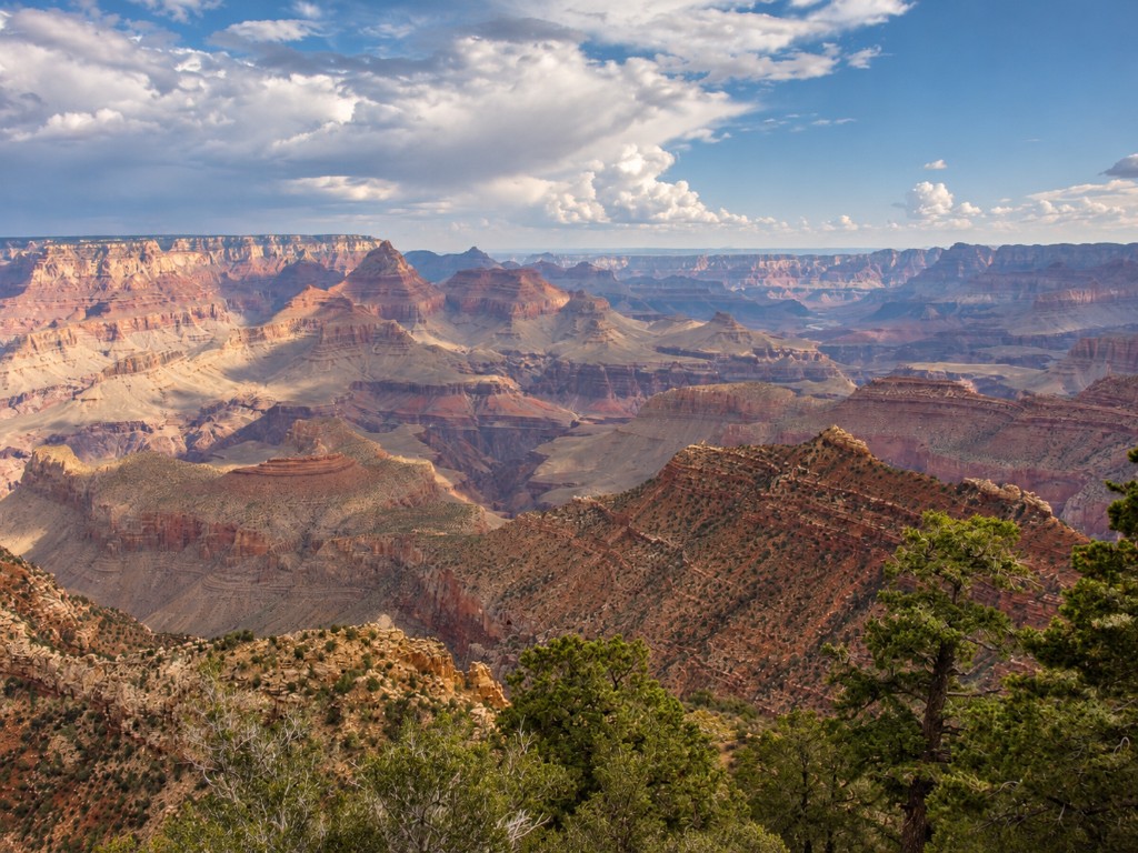 Grand Canyon — widok z krawędzi wśród drzew